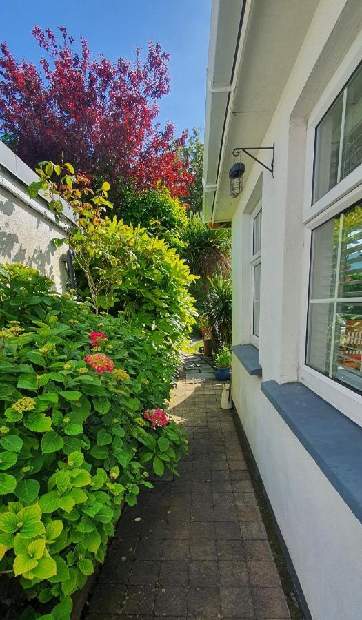 124 ,Castlelawn Heights, Headford Road Galway Homestay Extérieur photo